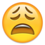 1f629